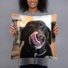 Load image into Gallery viewer, Z Doggy Lick Face Basic Pillow