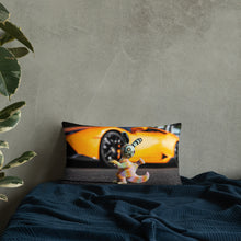 Load image into Gallery viewer, Chappy and a Lambo THC Samuel Basic Pillow