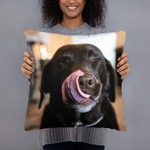 Load image into Gallery viewer, Z Doggy Lick Face Basic Pillow
