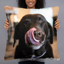 Load image into Gallery viewer, Z Doggy Lick Face Basic Pillow
